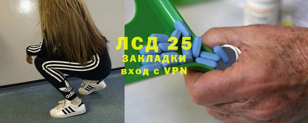 PSILOCYBIN Алзамай