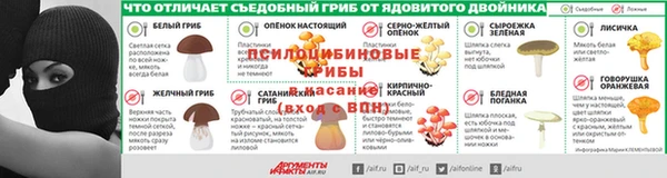 PSILOCYBIN Алзамай