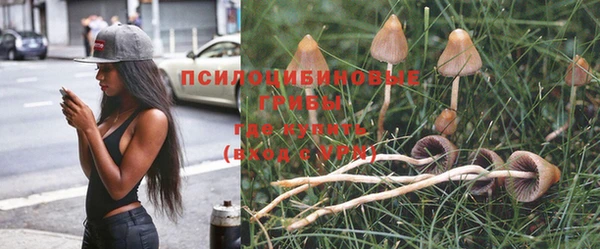 кокс Протвино