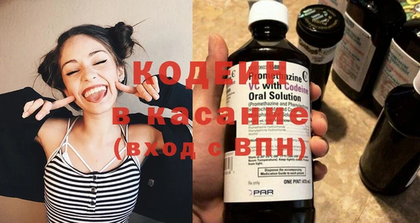PSILOCYBIN Алзамай